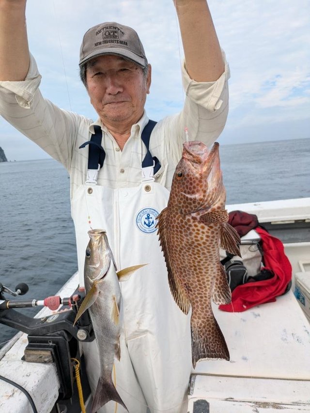 オオモンハタ・イサキ