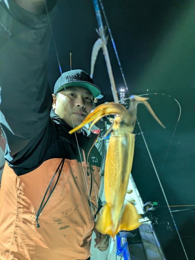 ムギイカ(スルメイカ)