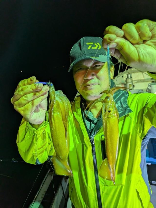 ムギイカ(スルメイカ)