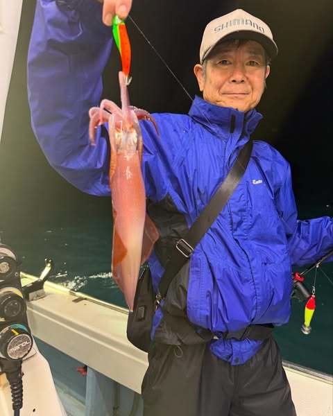 イカ(ケンサキイカ)