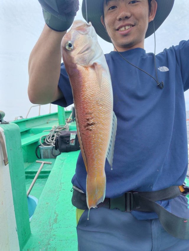 アマダイ(アカアマダイ)