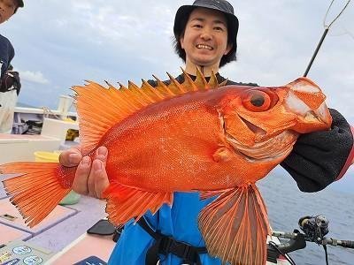 キントキ(チカメキントキ)