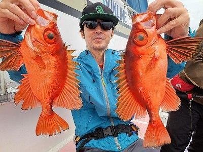 キントキ(チカメキントキ)