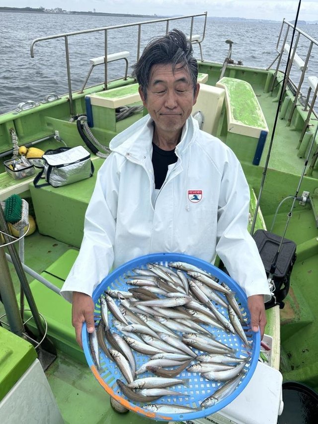 シロキス(シロギス)