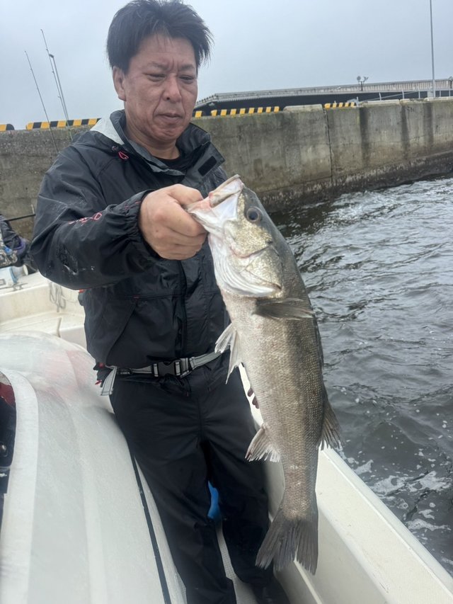 シーバス(スズキ)