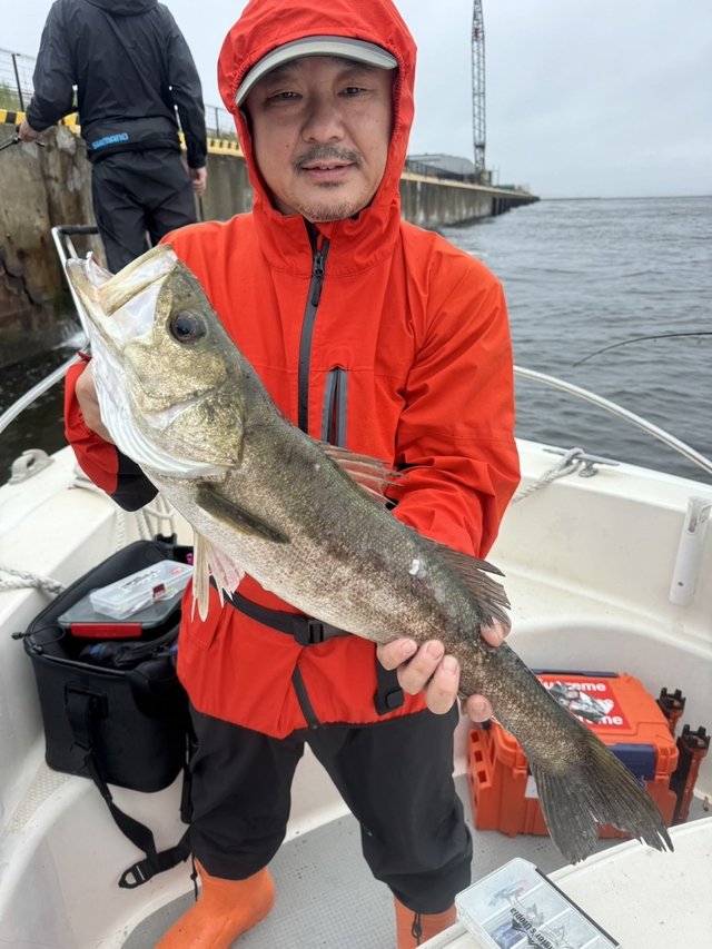 シーバス(スズキ)