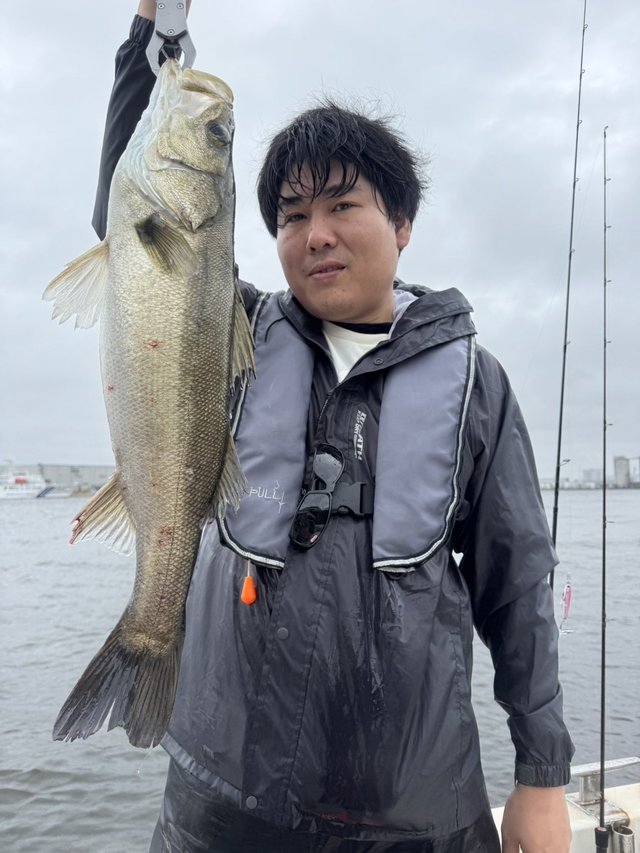 シーバス(スズキ)