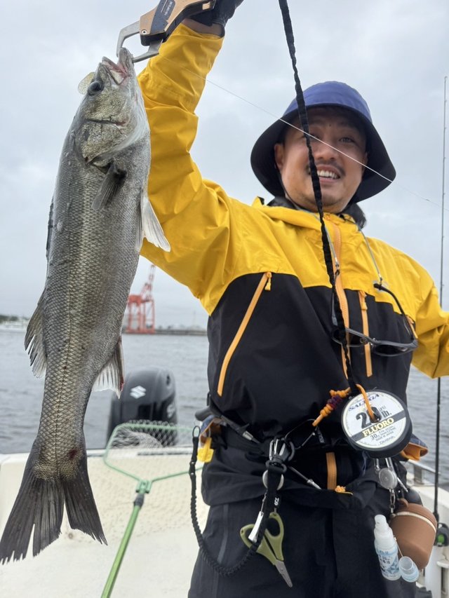 シーバス(スズキ)