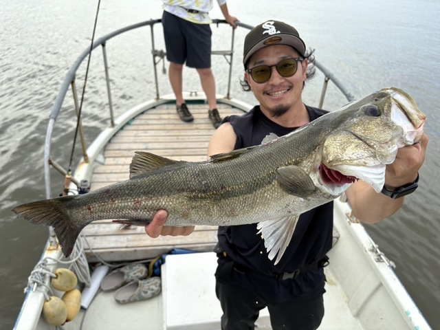 シーバス(スズキ)