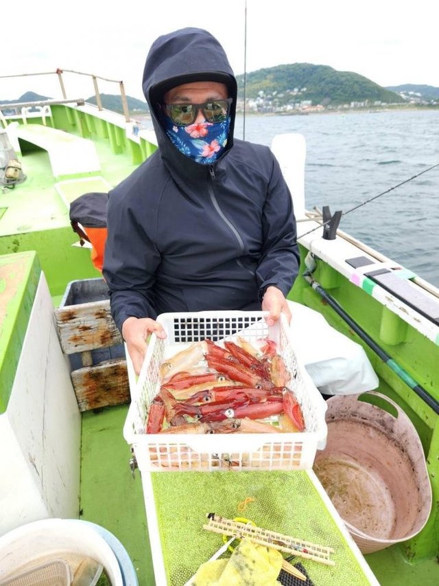 マルイカ(ケンサキイカ)