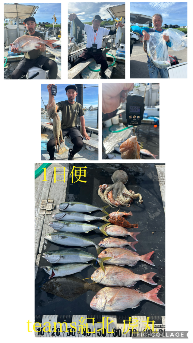 タイ(マダイ)・ハマチ(ブリ)・サバ(マサバ)・ガシラ(カサゴ)・オコゼ(オニオコゼ)・ヒラメ・タコ(マダコ)