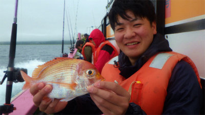 レンコダイ(キダイ)