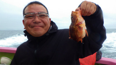 ウッカリカサゴ