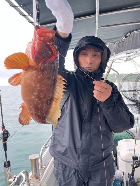 アコウ(キジハタ)