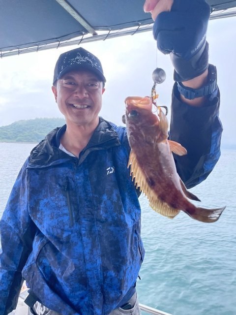 アコウ(キジハタ)