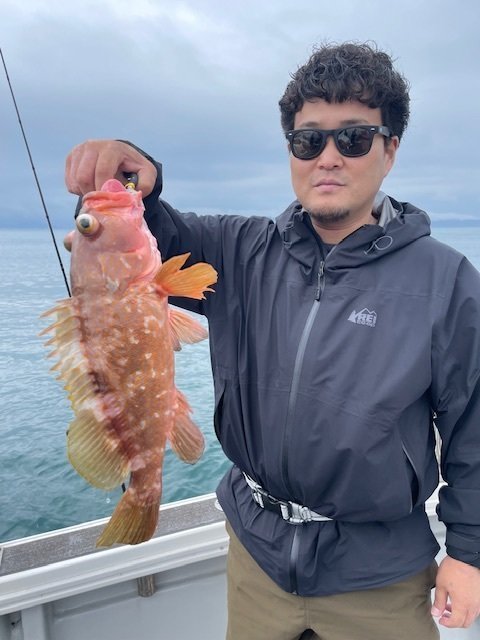 アコウ(キジハタ)