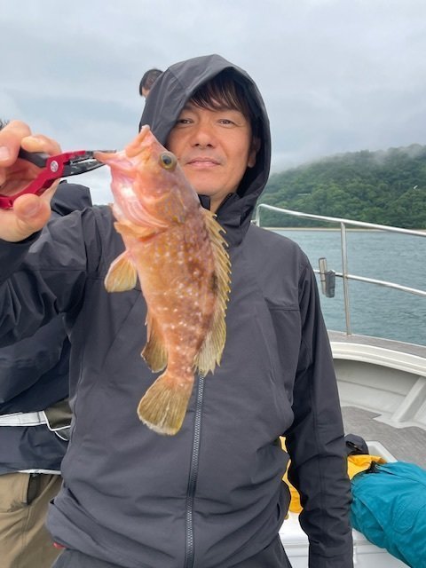 アコウ(キジハタ)