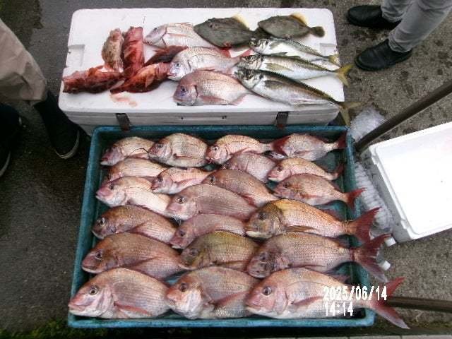 マダイ・ハナダイ(チダイ)・アジ(マアジ)・カサゴ・カワハギ