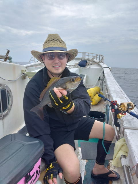 イサギ(イサキ)