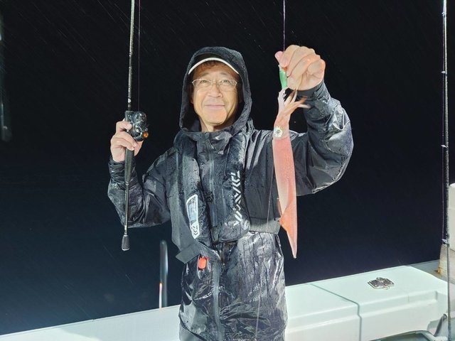 マイカ(ケンサキイカ)