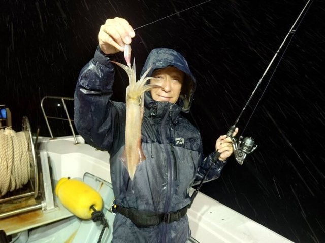 マイカ(ケンサキイカ)