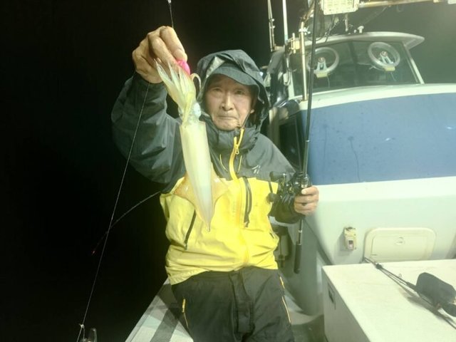 マイカ(ケンサキイカ)