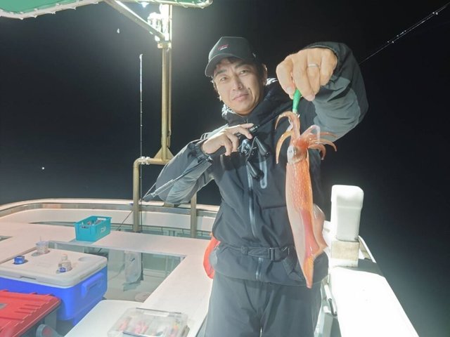 マイカ(ケンサキイカ)