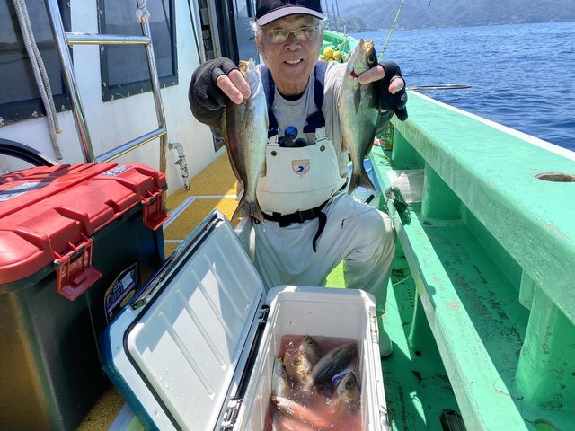 グルクン(タカサゴ)・イサキ