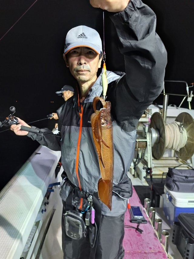 イカ(スルメイカ)