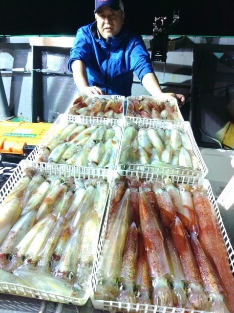 イカ(ヤリイカ)