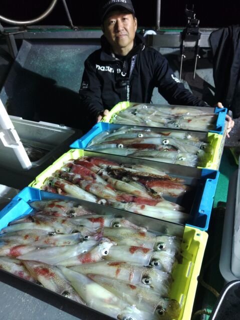 イカ(ヤリイカ)