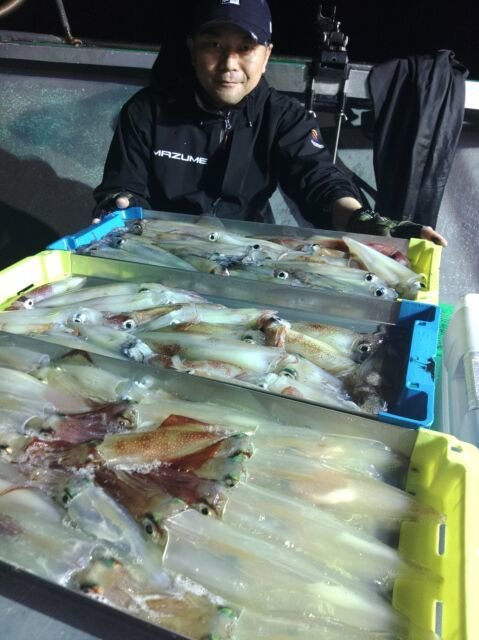 イカ(ヤリイカ)