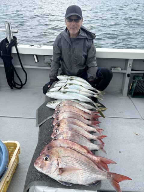 マダイ・ハマチ(ブリ)