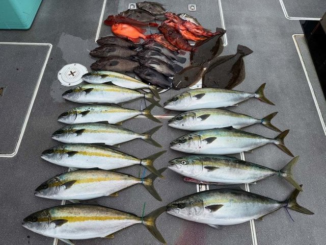 マハタ・ブリ・チカメキントキ・ヒラメ・マトウダイ