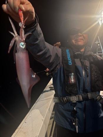 マイカ(ケンサキイカ)