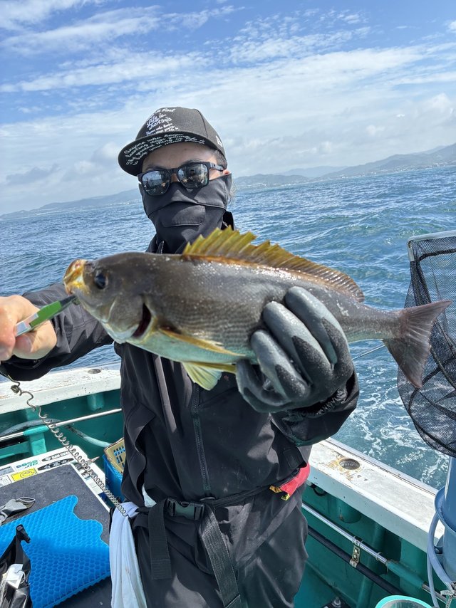 イサギ(イサキ)