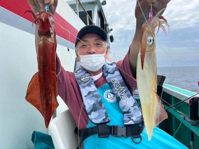 マルイカ(ケンサキイカ)