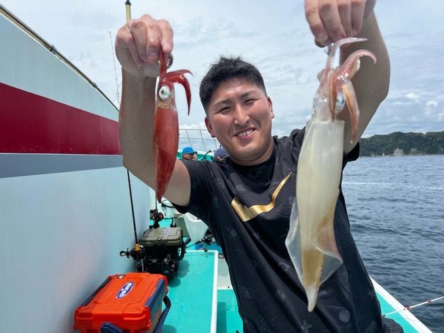 マルイカ(ケンサキイカ)