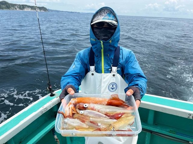 マルイカ(ケンサキイカ)