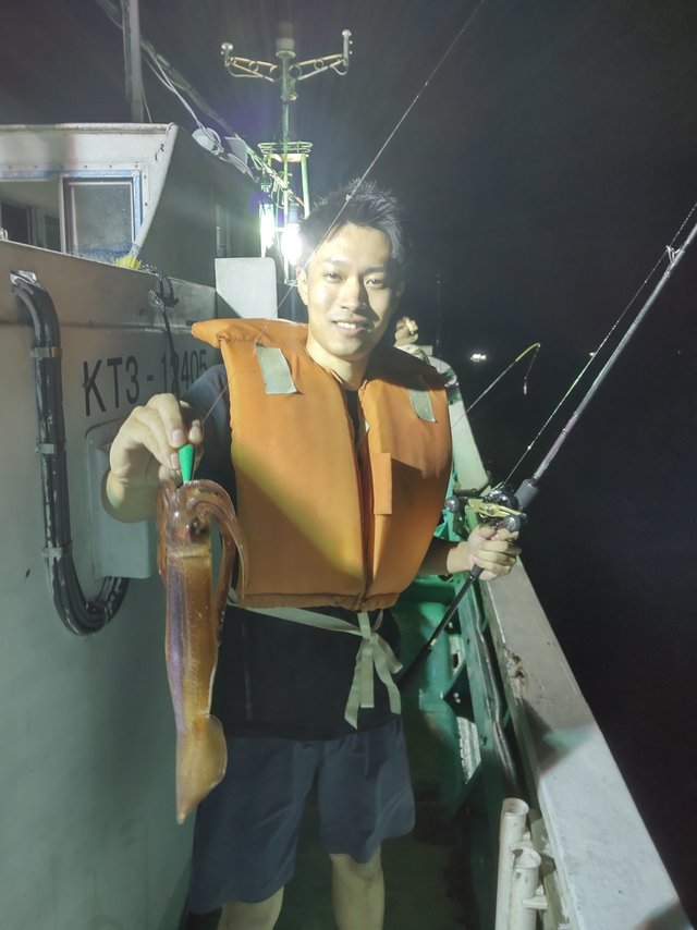 スルメ(スルメイカ)