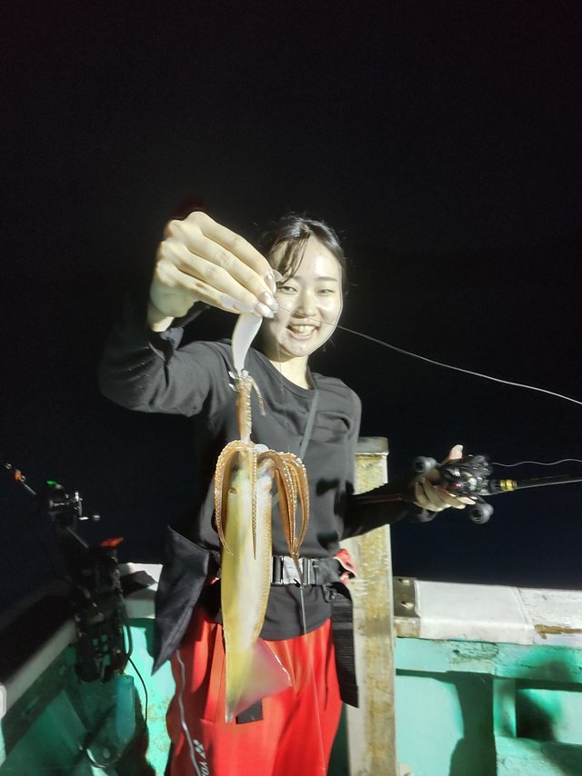 スルメ(スルメイカ)