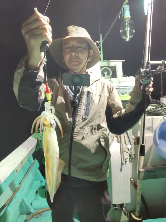 シロイカ(ケンサキイカ)