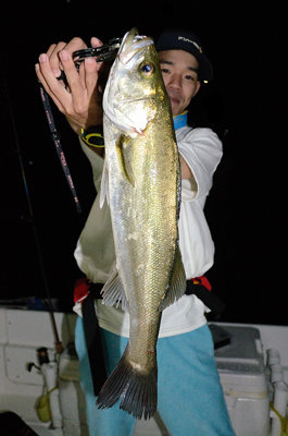 シーバス(スズキ)