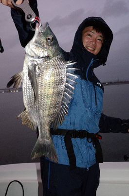 チヌ(クロダイ)