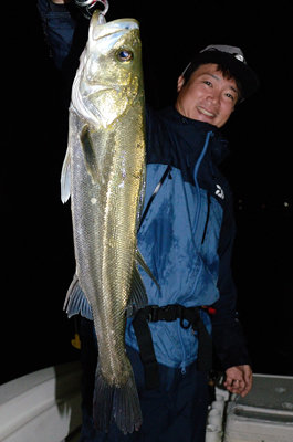 シーバス(スズキ)