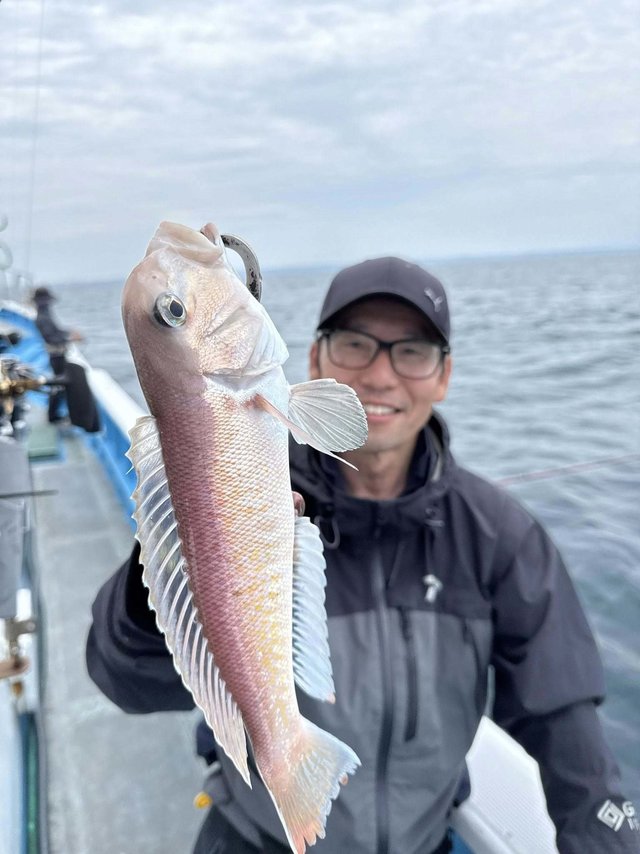 アマダイ(アカアマダイ)