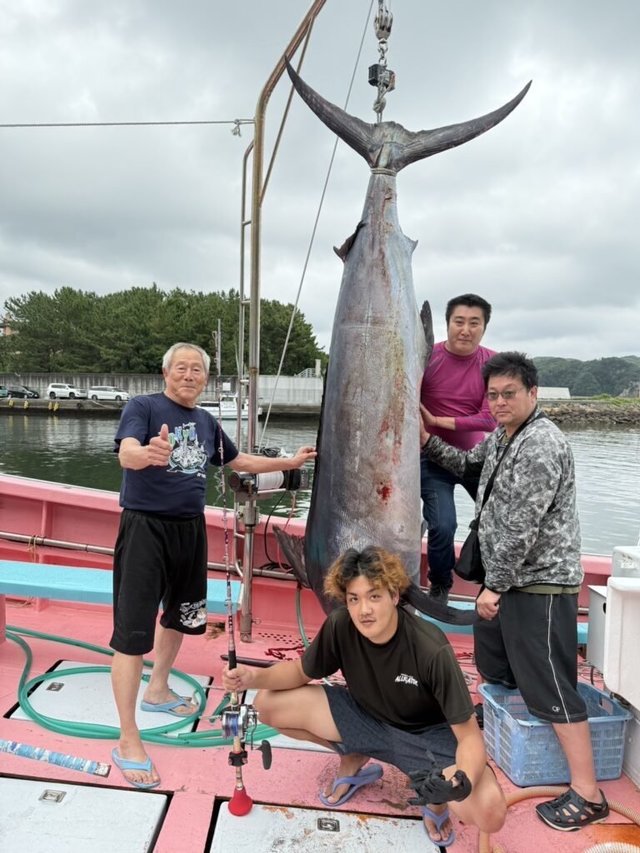 シロカワカジキ(シロカジキ)