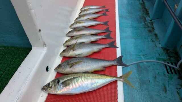 アジ(マアジ)・イサキ