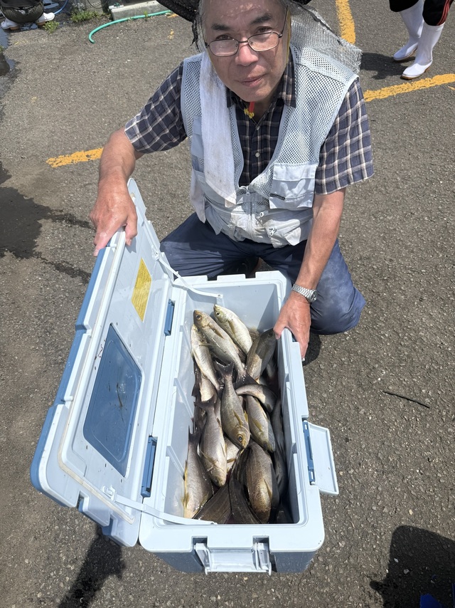 イサギ(イサキ)