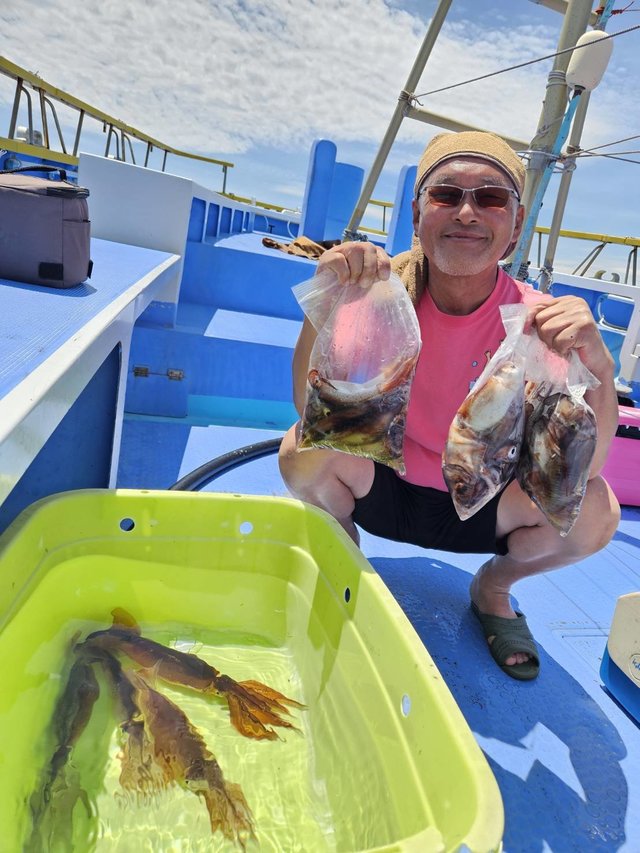 スルメ(スルメイカ)